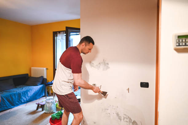 Best Commercial Mold Removal  in Kenton, TN